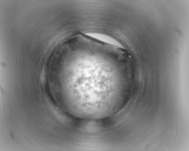 X0000090890074200708101410