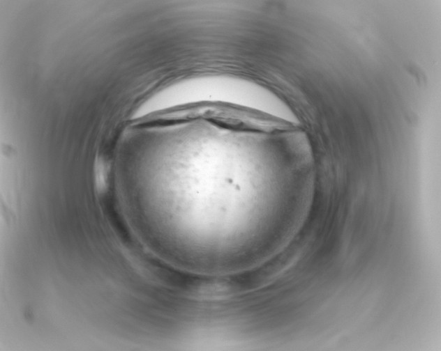 X0000090890075200708101410