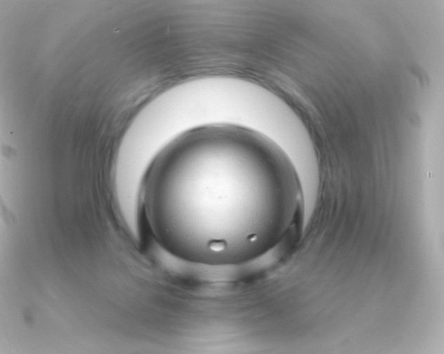 X0000090890076200708101410