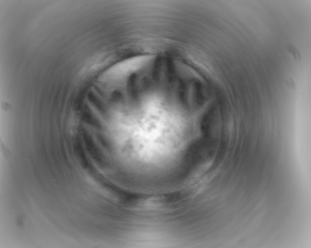 X0000090890078200708101410