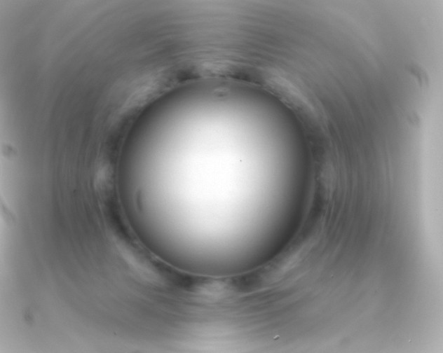 X0000090890079200708101410