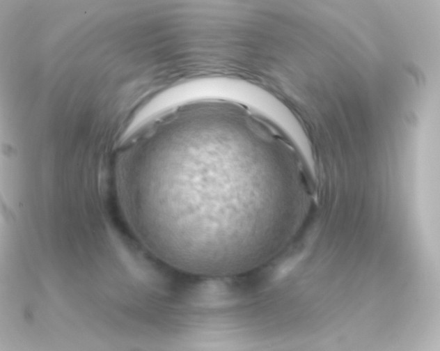 X0000090890080200708101410