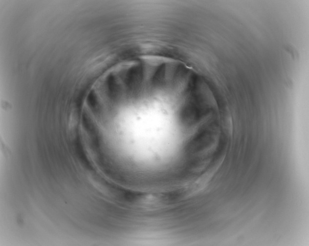 X0000090890082200708101410