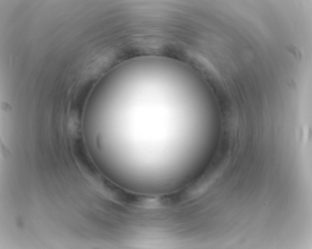 X0000090890083200708101410