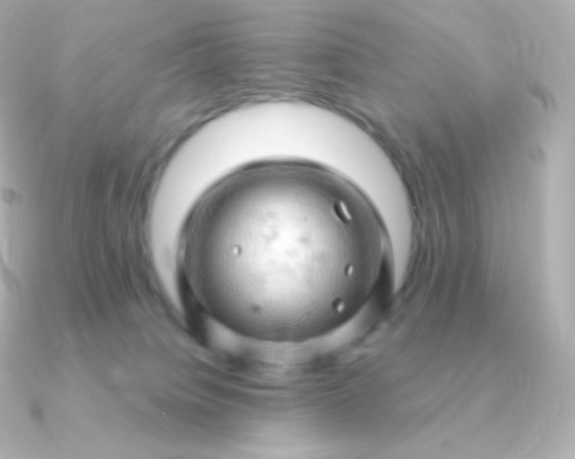 X0000090890084200708101410