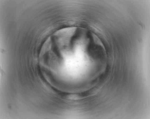 X0000090890085200708101410