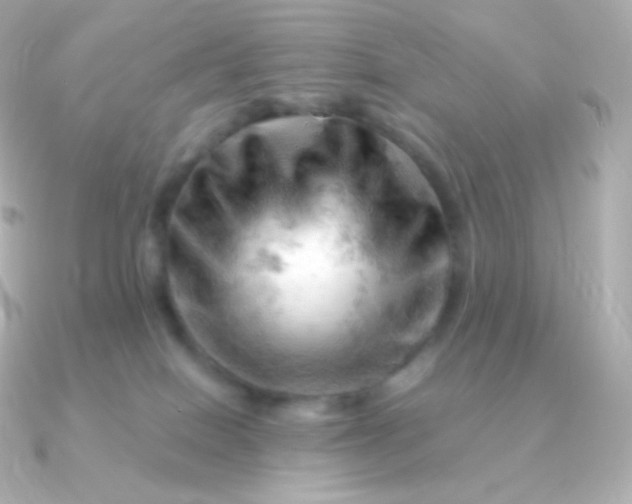 X0000090890086200708101410