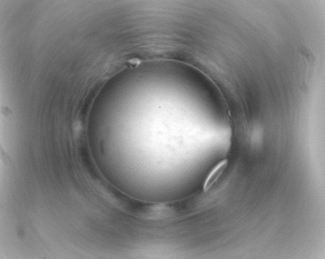 X0000090890087200708101410