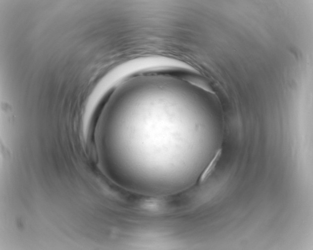 X0000090890088200708101410