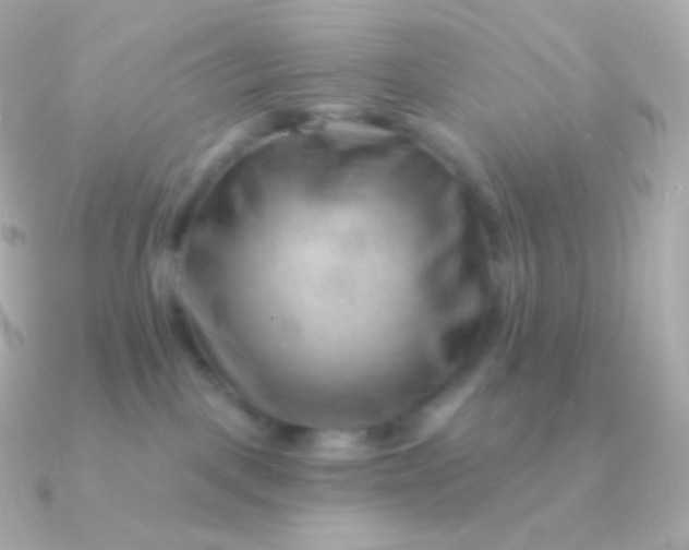 X0000090890093200708101410