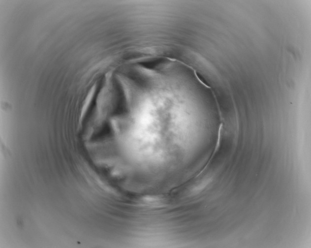 X0000090890095200708101410