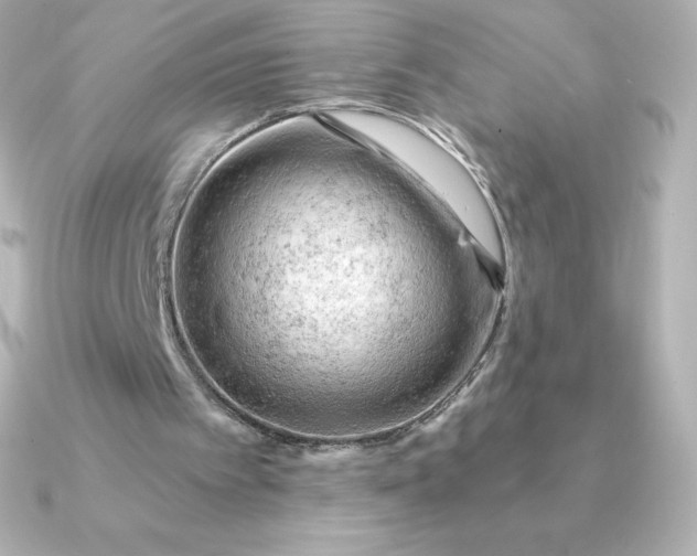 X0000090890097200708101409