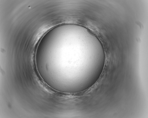 X0000090890098200708101409