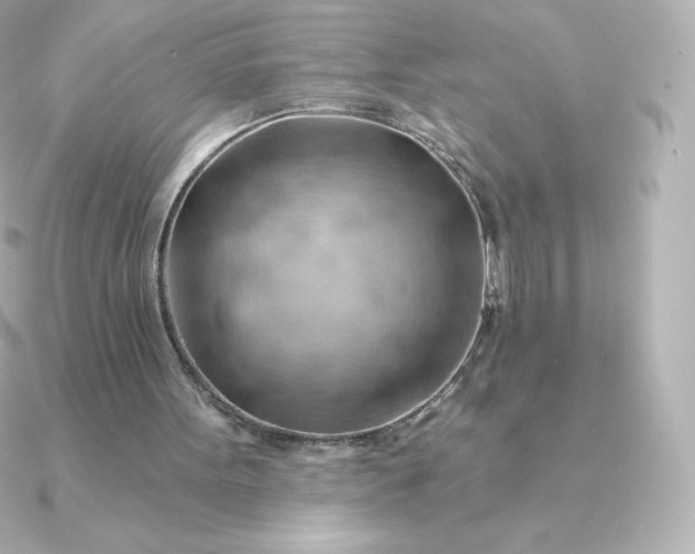 X0000090890099200708101409