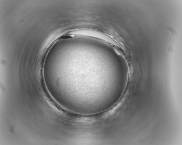 X0000090890101200708101409