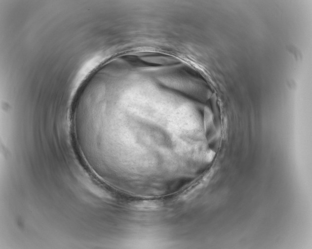 X0000090890102200708101409