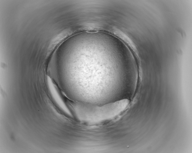 X0000090890105200708101409