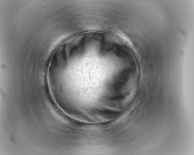 X0000090890106200708101409