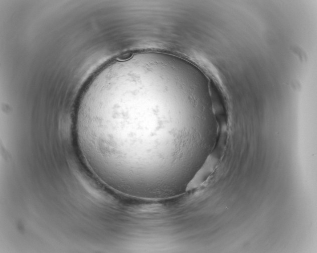 X0000090890108200708101409