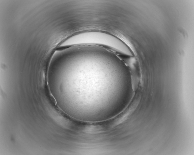 X0000090890109200708101409