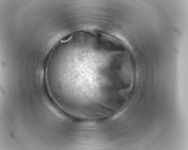 X0000090890110200708101409