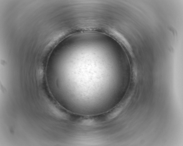 X0000090890113200708101409