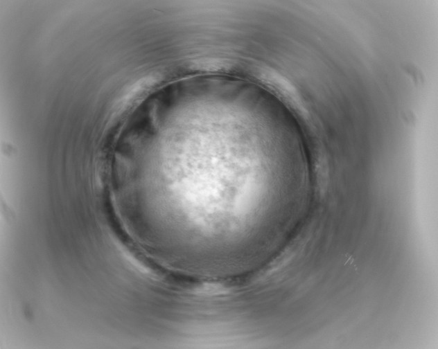 X0000090890114200708101409