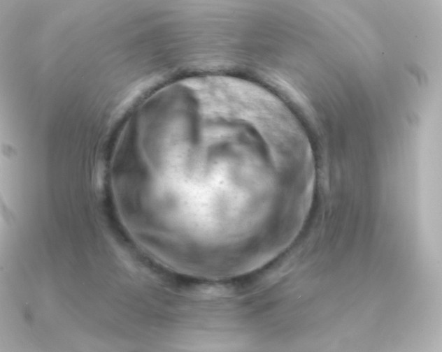 X0000090890115200708101409