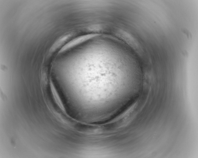 X0000090890116200708101409