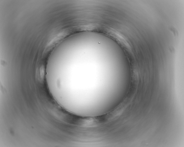 X0000090890118200708101409