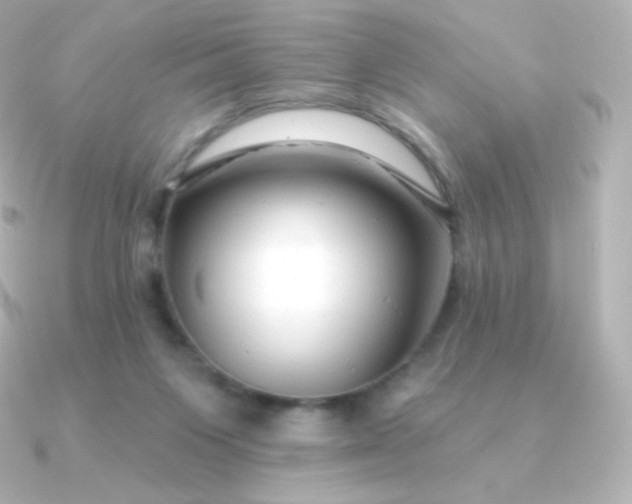 X0000090890119200708101409