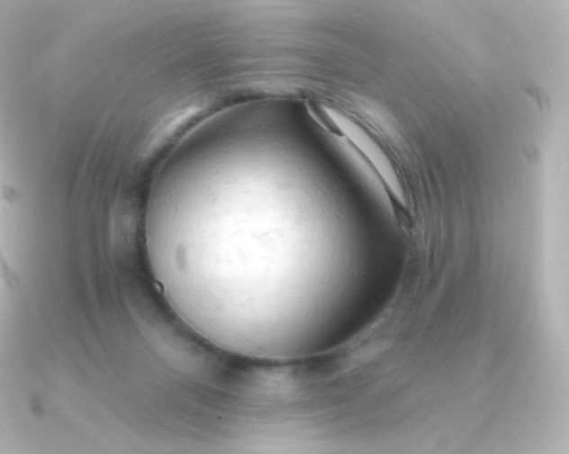 X0000090890120200708101409