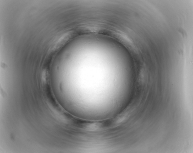 X0000090890122200708101409