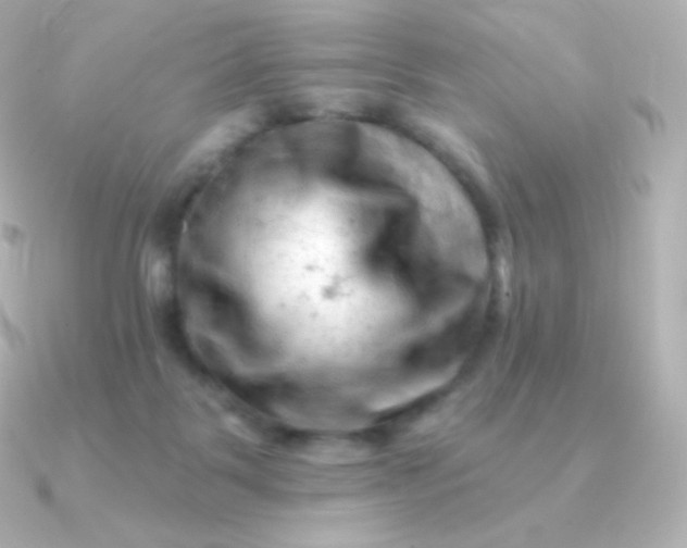 X0000090890123200708101409