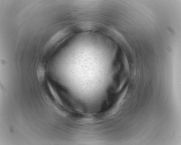 X0000090890124200708101409