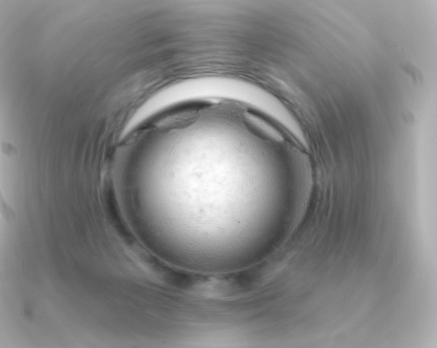 X0000090890125200708101409