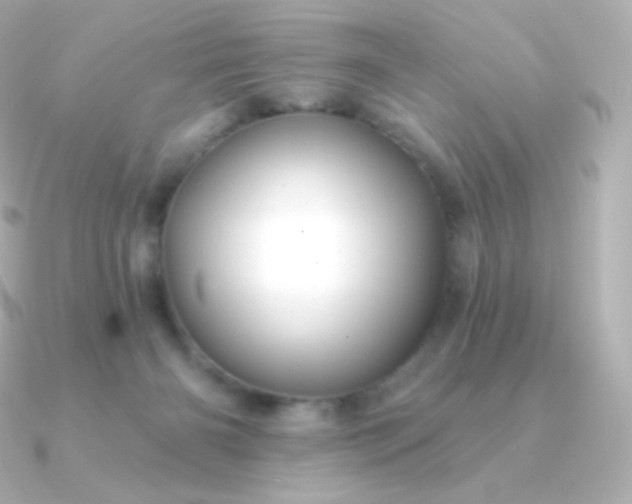 X0000090890126200708101409