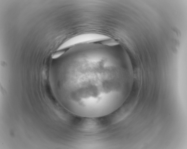 X0000090890127200708101409