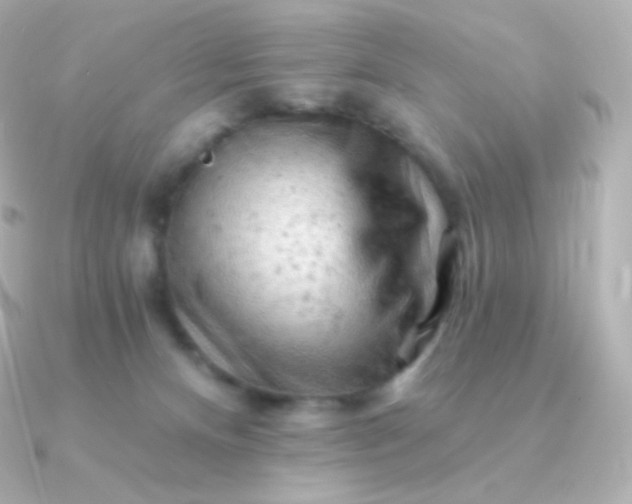 X0000090890128200708101409