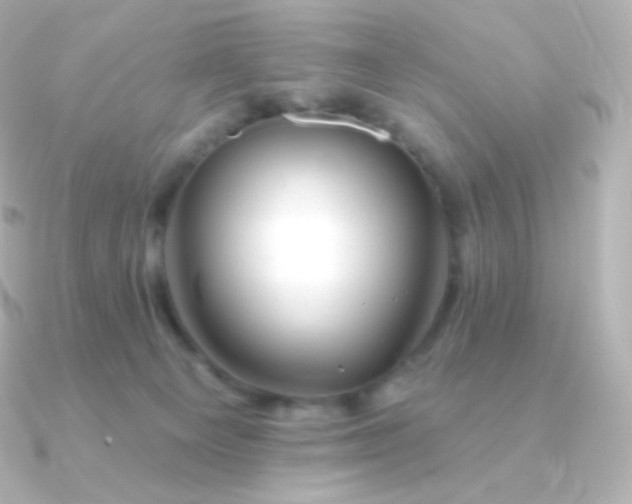 X0000090890129200708101409