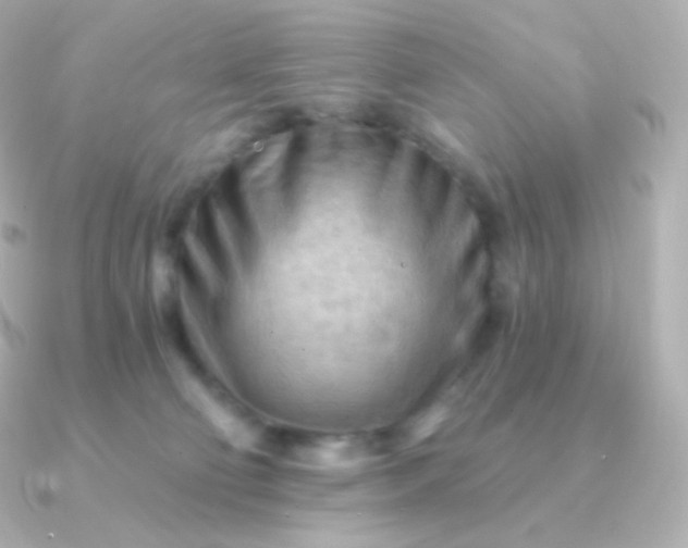 X0000090890130200708101409