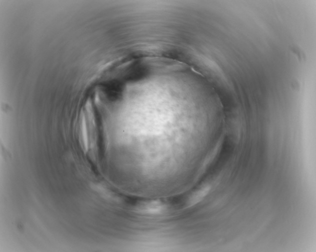 X0000090890131200708101409