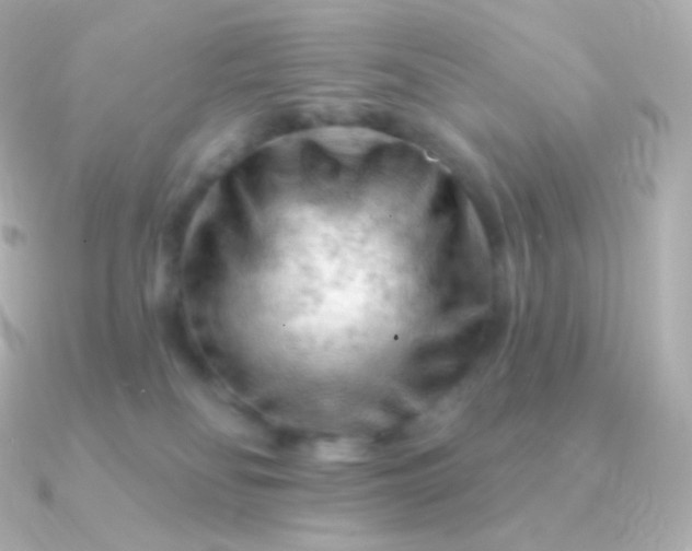 X0000090890134200708101409