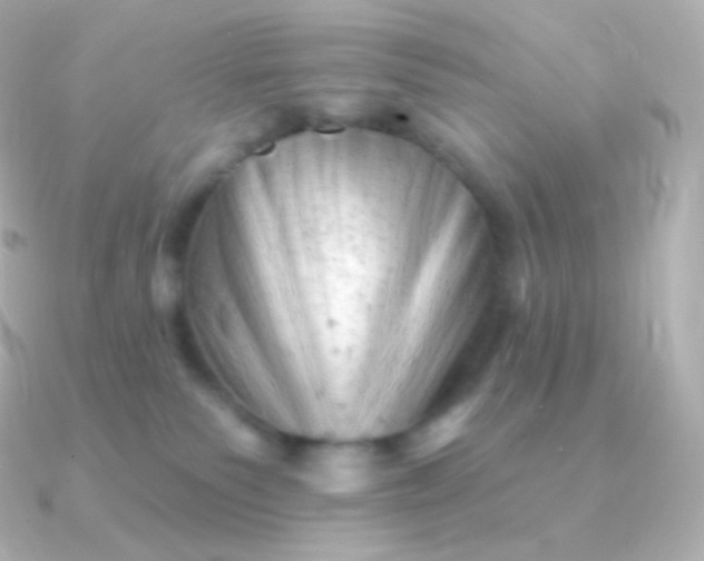 X0000090890135200708101409