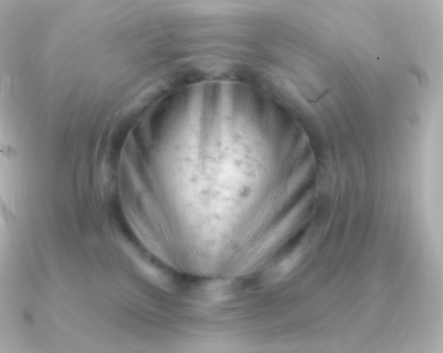 X0000090890136200708101409