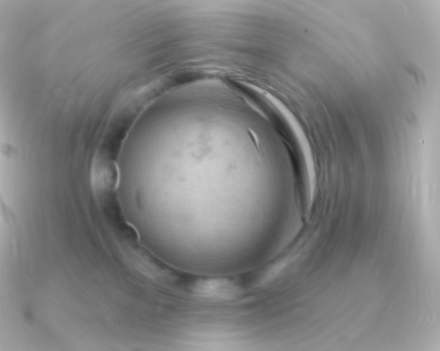 X0000090890137200708101409