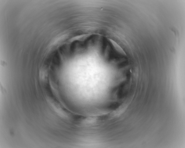 X0000090890138200708101409