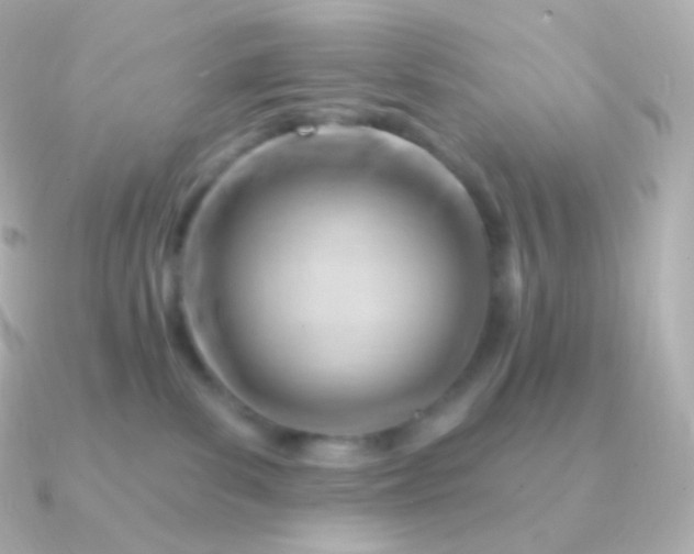 X0000090890139200708101409