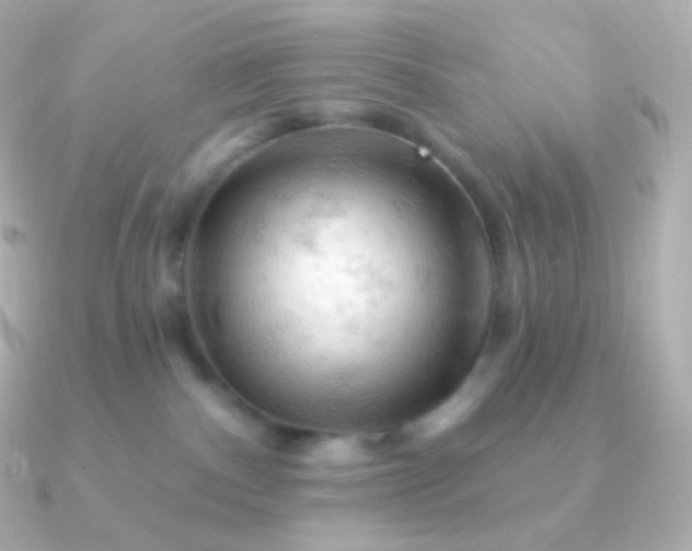 X0000090890140200708101409