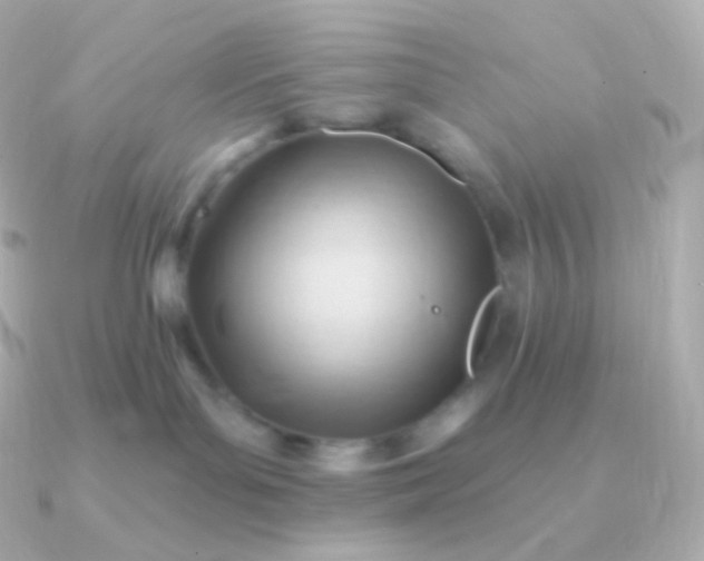 X0000090890143200708101409